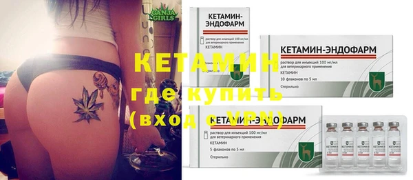 прущие грибы Верхний Тагил