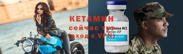 прущие грибы Верхний Тагил