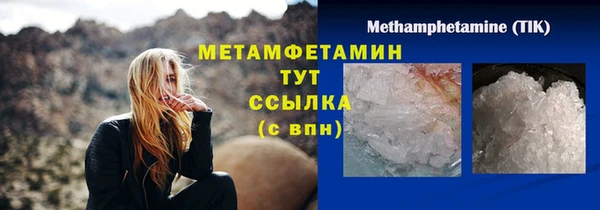 прущие грибы Верхний Тагил