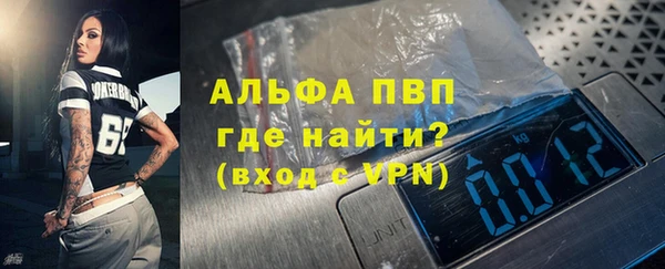 прущие грибы Верхний Тагил