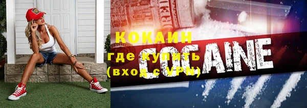 таблы Бородино